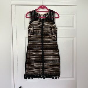 Francesca's Collections Black and Tan Lace Mini Dress